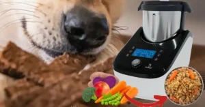An official ChefPaw pet food maker automated cooker preparing healthy nutrition for dogs alongside fresh ingredients and a dog eating.