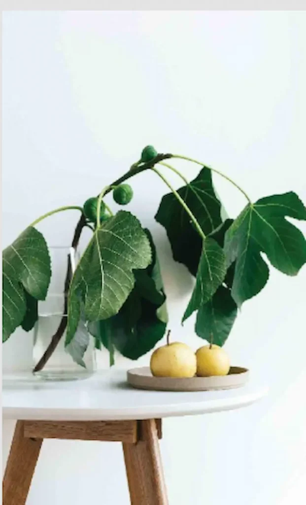 Minimalist table with natural elements symbolizing mental clarity and wellness in small spaces