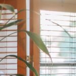BlindsMagic motorized bamboo blinds filtering warm natural sunlight next to indoor houseplant
