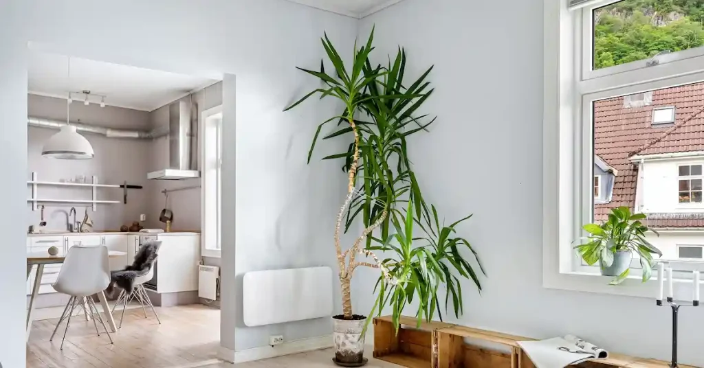 A modern compact apartment interior showing why traditional ventilation fails, highlighting the need for the best smart ventilation for small spaces in winter